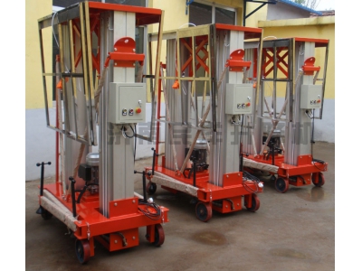 雙立柱鋁合金升降機(jī)